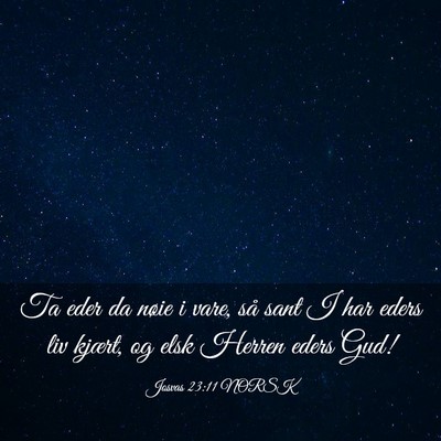 Picture 03 - Josvas 23:11 NORSK - Ta eder da nøie i vare, så sant I har eders liv - Bible Verse Picture