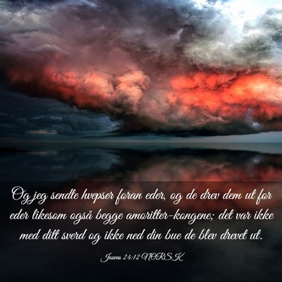 Picture 03 - Josvas 24:12 NORSK - Og jeg sendte hvepser foran eder, og de drev dem - Bible Verse Picture