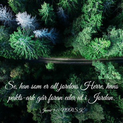 Picture 03 - Josvas 3:11 NORSK - Se, han som er all jordens Herre, hans pakts-ark - Bible Verse Picture