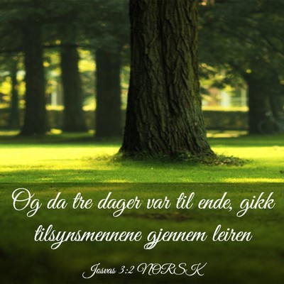 Picture 03 - Josvas 3:2 NORSK - Og da tre dager var til ende, gikk tilsynsmennene - Bible Verse Picture