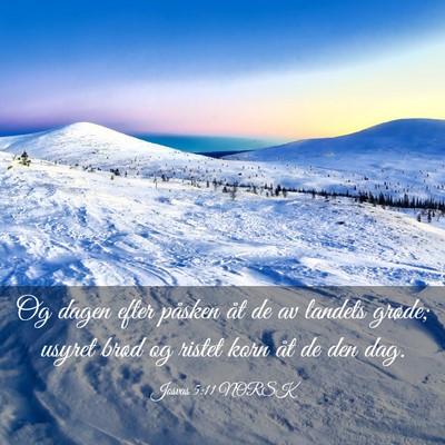 Picture 03 - Josvas 5:11 NORSK - Og dagen efter påsken åt de av landets grøde; - Bible Verse Picture
