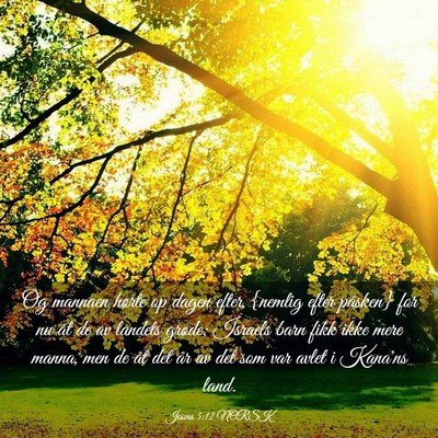 Picture 03 - Josvas 5:12 NORSK - Og mannaen hørte op dagen efter, {nemlig efter - Bible Verse Picture