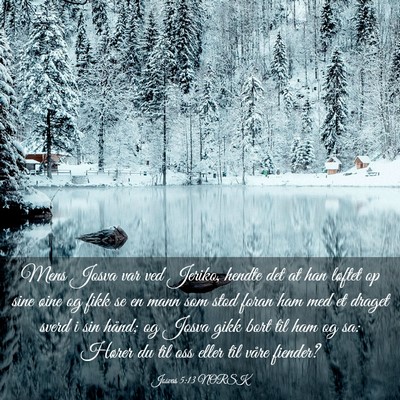 Picture 03 - Josvas 5:13 NORSK - Mens Josva var ved Jeriko, hendte det at han - Bible Verse Picture