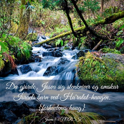 Picture 03 - Josvas 5:3 NORSK - Da gjorde Josva sig stenkniver og omskar Israels - Bible Verse Picture