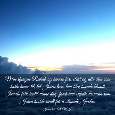 Picture 03 - Josvas 6:25 NORSK - Men skjøgen Rahab og hennes fars slekt og alle - Bible Verse Picture