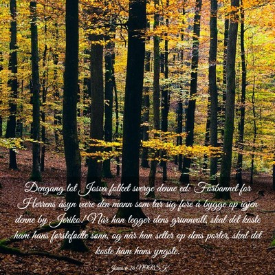 Picture 03 - Josvas 6:26 NORSK - Dengang lot Josva folket sverge denne ed: - Bible Verse Picture