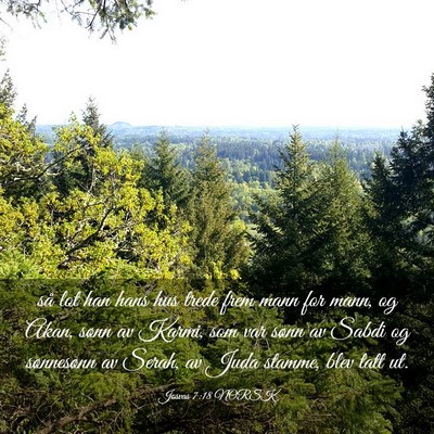 Picture 03 - Josvas 7:18 NORSK - så lot han hans hus trede frem mann for mann, og - Bible Verse Picture
