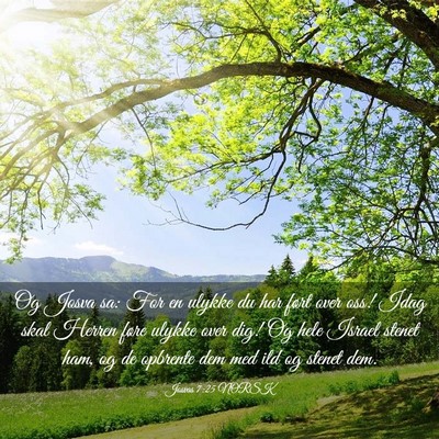 Picture 03 - Josvas 7:25 NORSK - Og Josva sa: For en ulykke du har ført over oss! - Bible Verse Picture