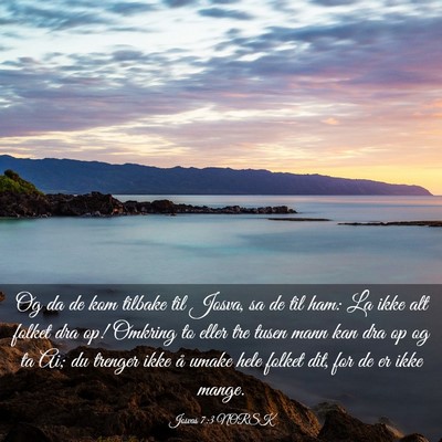 Picture 03 - Josvas 7:3 NORSK - Og da de kom tilbake til Josva, sa de til ham: La - Bible Verse Picture
