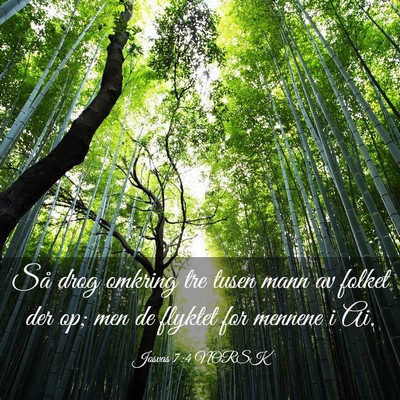 Picture 03 - Josvas 7:4 NORSK - Så drog omkring tre tusen mann av folket der op; - Bible Verse Picture