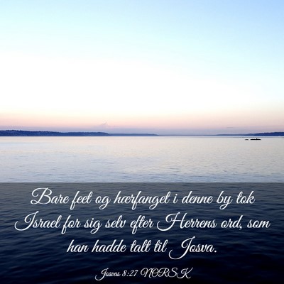 Picture 03 - Josvas 8:27 NORSK - Bare feet og hærfanget i denne by tok Israel for - Bible Verse Picture