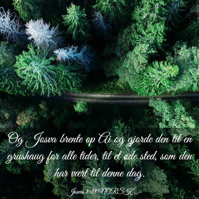 Picture 03 - Josvas 8:28 NORSK - Og Josva brente op Ai og gjorde den til en - Bible Verse Picture
