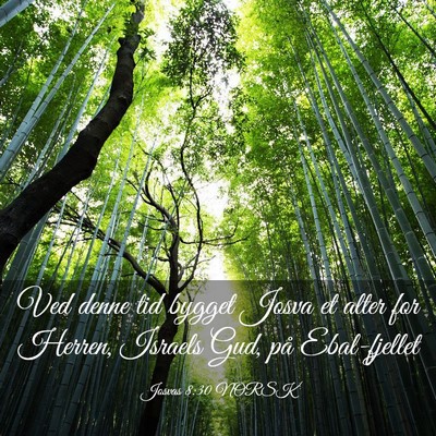 Picture 03 - Josvas 8:30 NORSK - Ved denne tid bygget Josva et alter for Herren, - Bible Verse Picture