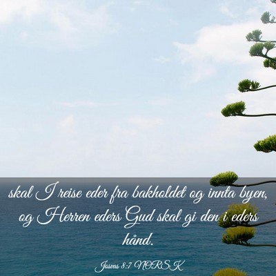 Picture 03 - Josvas 8:7 NORSK - skal I reise eder fra bakholdet og innta byen, og - Bible Verse Picture