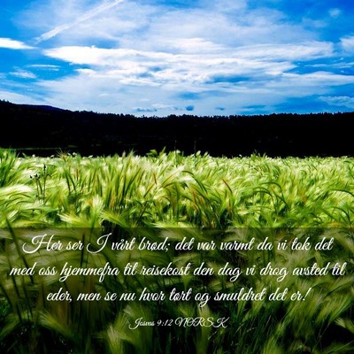 Picture 03 - Josvas 9:12 NORSK - Her ser I vårt brød; det var varmt da vi tok - Bible Verse Picture