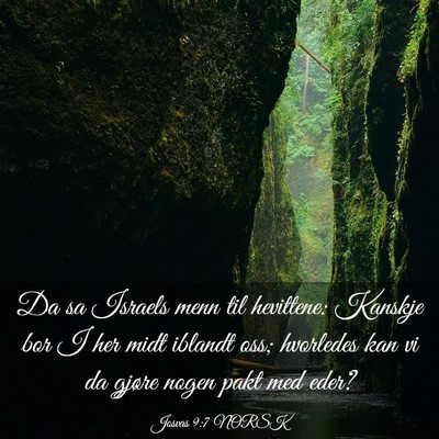 Picture 03 - Josvas 9:7 NORSK - Da sa Israels menn til hevittene: Kanskje bor I - Bible Verse Picture