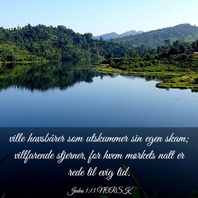 Picture 03 - Judas 1:13 NORSK - ville havsbårer som utskummer sin egen skam; - Bible Verse Picture