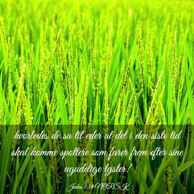 Picture 03 - Judas 1:18 NORSK - hvorledes de sa til eder at det i den siste tid - Bible Verse Picture
