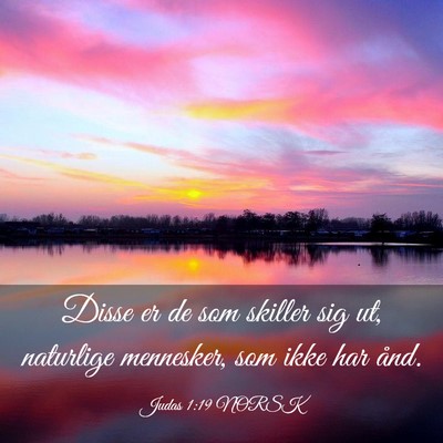 Picture 03 - Judas 1:19 NORSK - Disse er de som skiller sig ut, naturlige - Bible Verse Picture