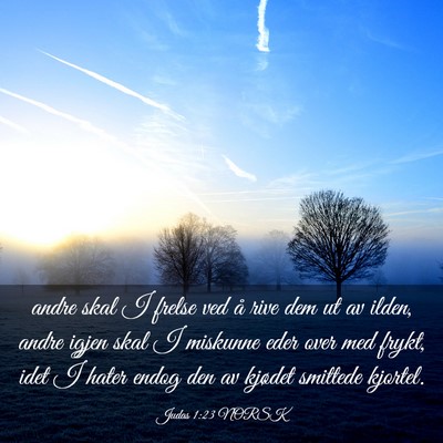 Picture 03 - Judas 1:23 NORSK - andre skal I frelse ved å rive dem ut av ilden, - Bible Verse Picture