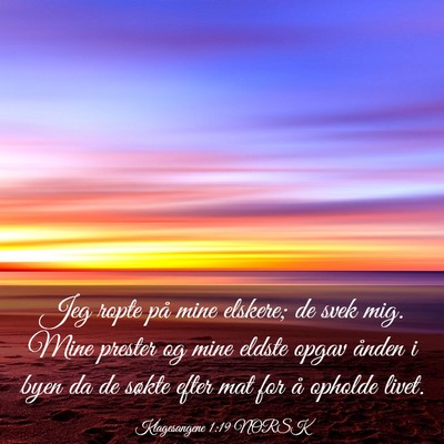 Picture 03 - Klagesangene 1:19 NORSK - Jeg ropte på mine elskere; de svek mig. Mine - Bible Verse Picture