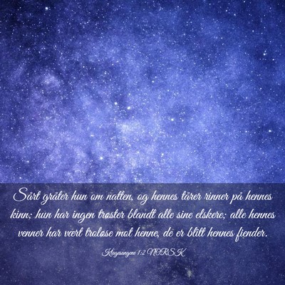 Picture 03 - Klagesangene 1:2 NORSK - Sårt gråter hun om natten, og hennes tårer - Bible Verse Picture