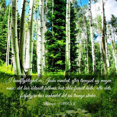 Picture 03 - Klagesangene 1:3 NORSK - I landflyktighet er Juda vandret, efter trengsel - Bible Verse Picture