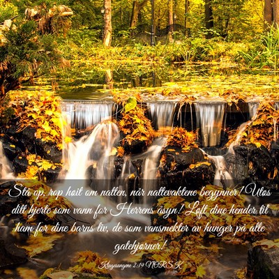 Picture 03 - Klagesangene 2:19 NORSK - Stå op, rop høit om natten, når nattevaktene - Bible Verse Picture