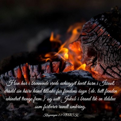 Picture 03 - Klagesangene 2:3 NORSK - Han har i brennende vrede avhugget hvert horn i - Bible Verse Picture