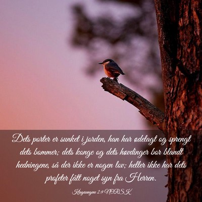 Picture 03 - Klagesangene 2:9 NORSK - Dets porter er sunket i jorden, han har ødelagt - Bible Verse Picture