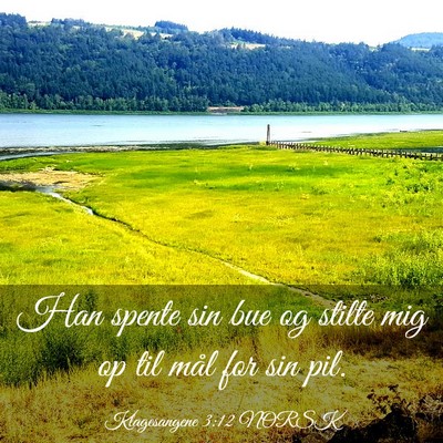 Picture 03 - Klagesangene 3:12 NORSK - Han spente sin bue og stilte mig op til mål for - Bible Verse Picture