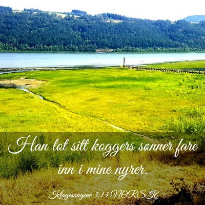 Picture 03 - Klagesangene 3:13 NORSK - Han lot sitt koggers sønner fare inn i mine - Bible Verse Picture