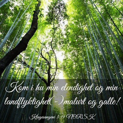 Picture 03 - Klagesangene 3:19 NORSK - Kom i hu min elendighet og min - Bible Verse Picture