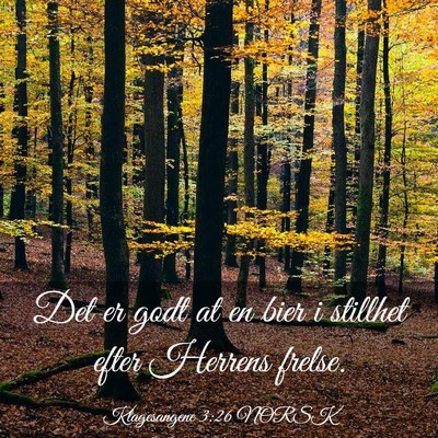 Picture 03 - Klagesangene 3:26 NORSK - Det er godt at en bier i stillhet efter Herrens - Bible Verse Picture