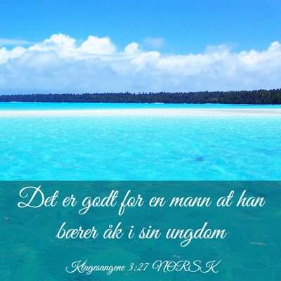 Picture 03 - Klagesangene 3:27 NORSK - Det er godt for en mann at han bærer åk i sin - Bible Verse Picture
