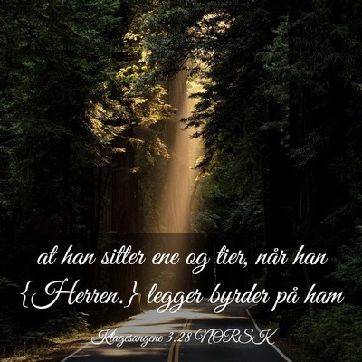 Picture 03 - Klagesangene 3:28 NORSK - at han sitter ene og tier, når han {Herren.} - Bible Verse Picture