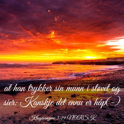 Picture 03 - Klagesangene 3:29 NORSK - at han trykker sin munn i støvet og sier: - Bible Verse Picture