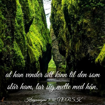 Picture 03 - Klagesangene 3:30 NORSK - at han vender sitt kinn til den som slår ham, - Bible Verse Picture