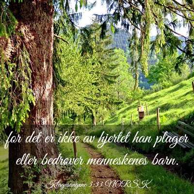 Picture 03 - Klagesangene 3:33 NORSK - for det er ikke av hjertet han plager eller - Bible Verse Picture