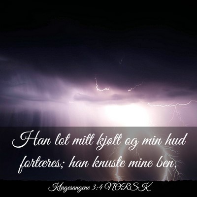 Picture 03 - Klagesangene 3:4 NORSK - Han lot mitt kjøtt og min hud fortæres; han - Bible Verse Picture