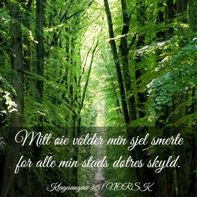 Picture 03 - Klagesangene 3:51 NORSK - Mitt øie volder min sjel smerte for alle min - Bible Verse Picture
