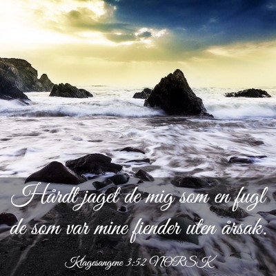 Picture 03 - Klagesangene 3:52 NORSK - Hårdt jaget de mig som en fugl de som var mine - Bible Verse Picture