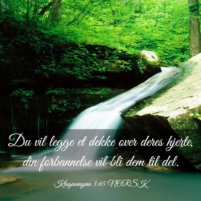 Picture 03 - Klagesangene 3:65 NORSK - Du vil legge et dekke over deres hjerte, din - Bible Verse Picture