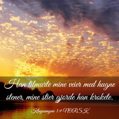 Picture 03 - Klagesangene 3:9 NORSK - Han tilmurte mine veier med hugne stener, mine - Bible Verse Picture