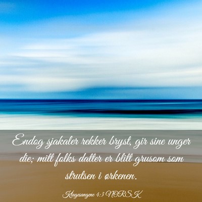Picture 03 - Klagesangene 4:3 NORSK - Endog sjakaler rekker bryst, gir sine unger die; - Bible Verse Picture