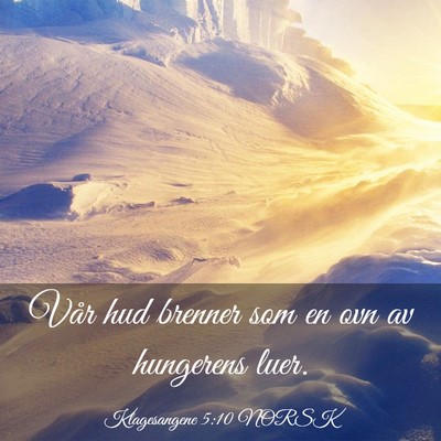Picture 03 - Klagesangene 5:10 NORSK - Vår hud brenner som en ovn av hungerens - Bible Verse Picture
