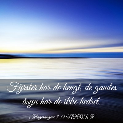 Picture 03 - Klagesangene 5:12 NORSK - Fyrster har de hengt, de gamles åsyn har de ikke - Bible Verse Picture