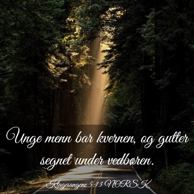 Picture 03 - Klagesangene 5:13 NORSK - Unge menn bar kvernen, og gutter segnet under - Bible Verse Picture