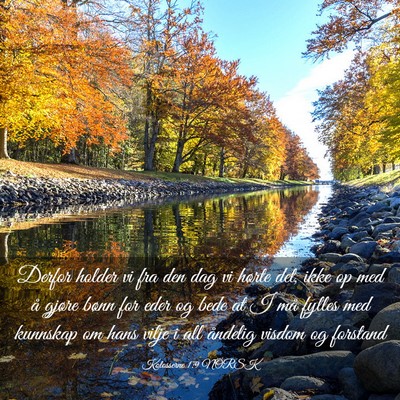 Picture 03 - Kolosserne 1:9 NORSK - Derfor holder vi fra den dag vi hørte det, ikke - Bible Verse Picture