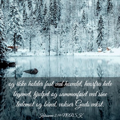 Picture 03 - Kolosserne 2:19 NORSK - og ikke holder fast ved hovedet, hvorfra hele - Bible Verse Picture
